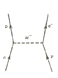  Feynman -