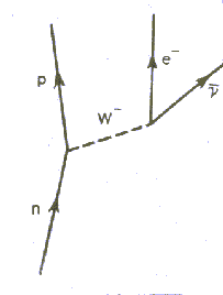  Feynman -