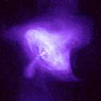 Chandra Crab Nebula X-ray Image