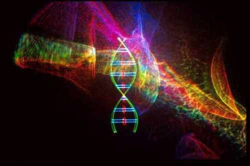 humans_alien_life_share_genetic_code