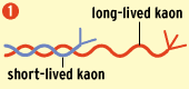 Normal Decay of Kaons