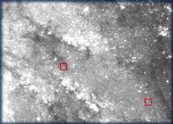 Location of Cepheids in NGC 4603