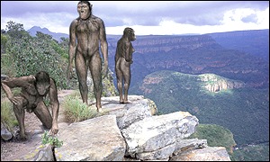 Early humans